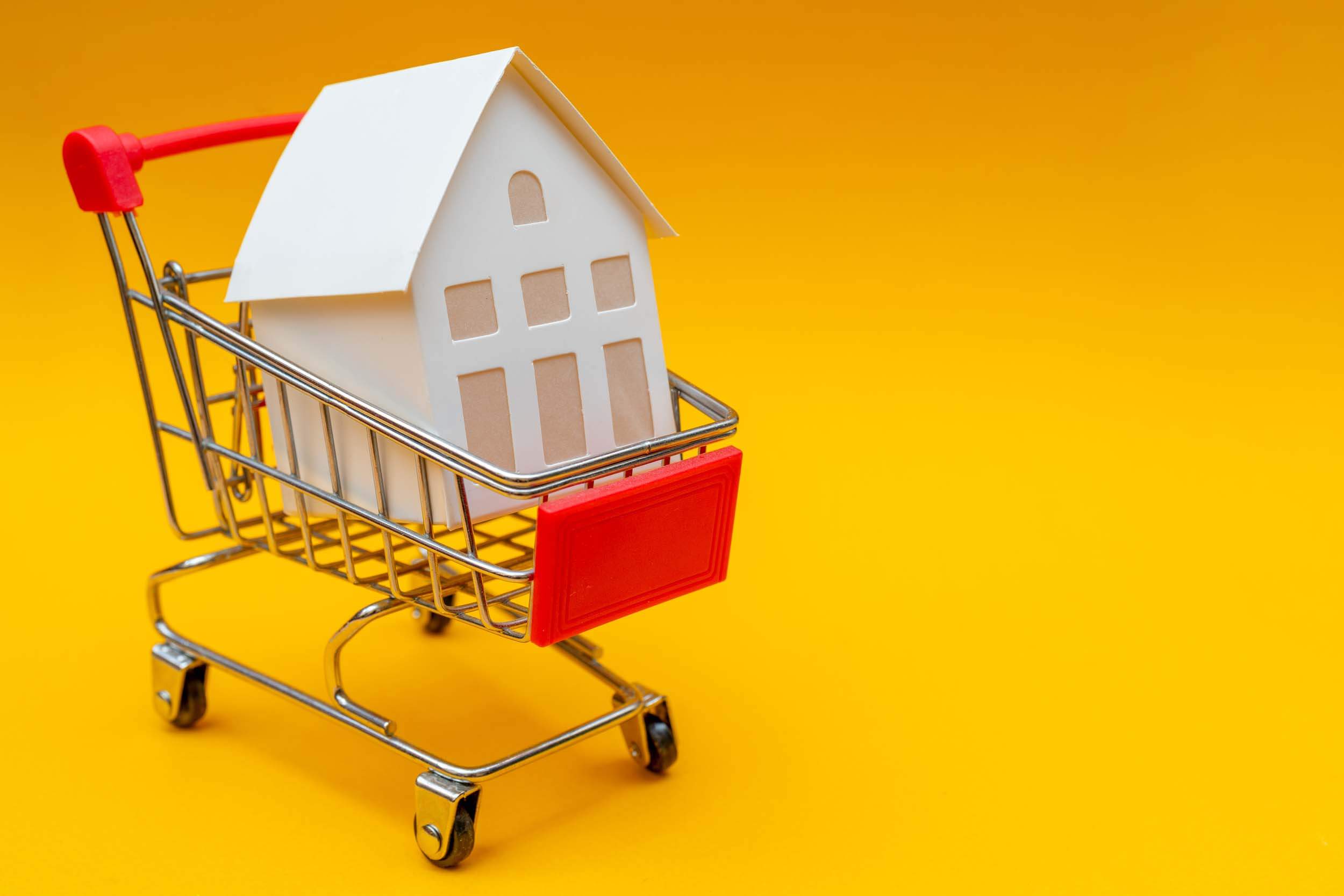 Vente privée de maison : une nouvelle façon d’investir - maquette d'une maison dans un chariot de supermarché